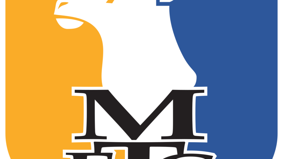 Mansfield Town FC History