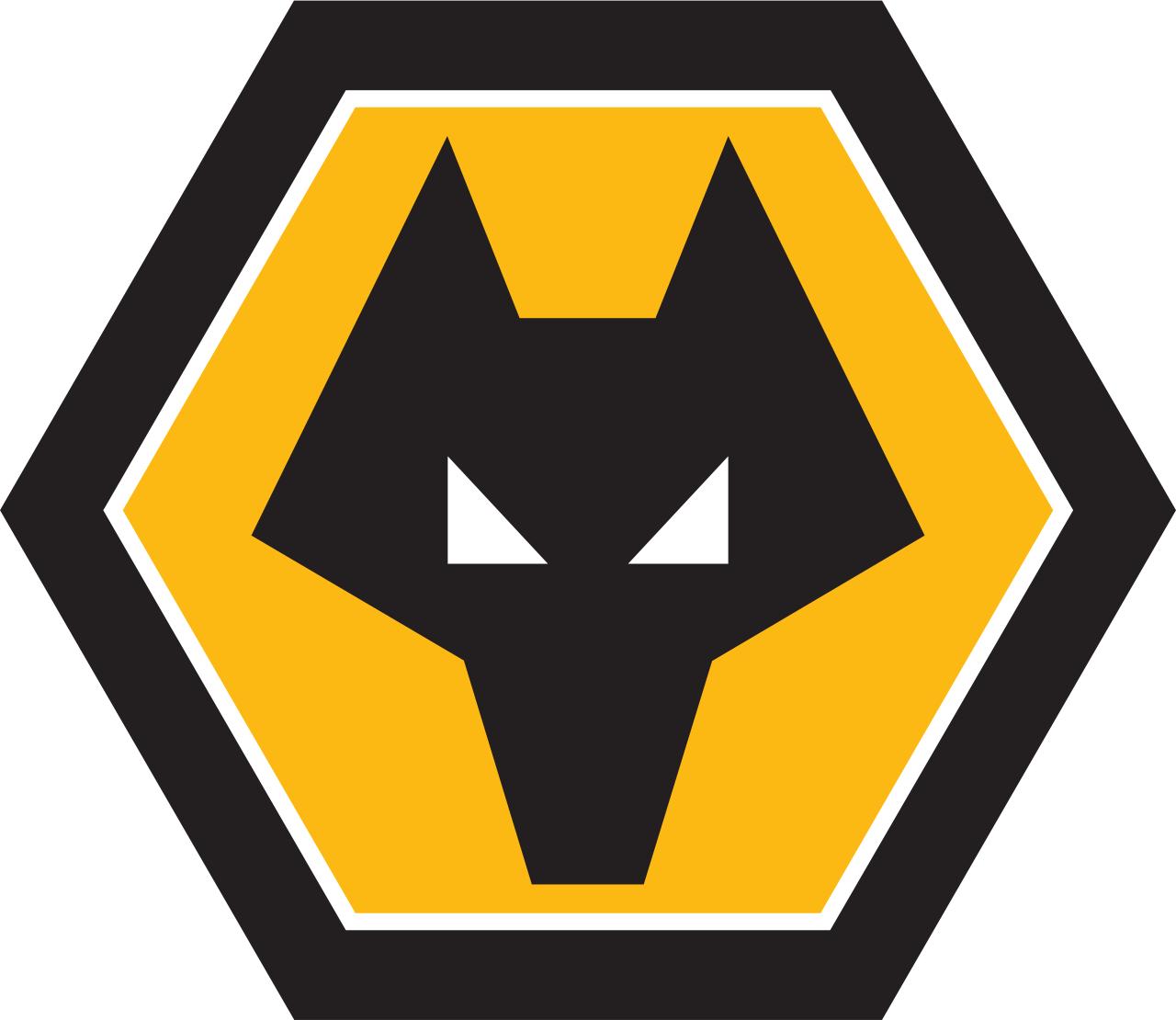 Wolverhampton Wanderers FC History