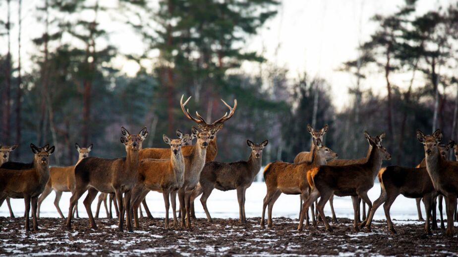 Belarus Weather Report