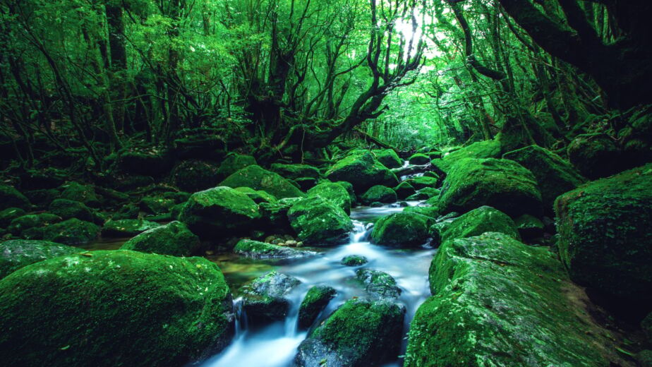 Kagoshima Prefecture