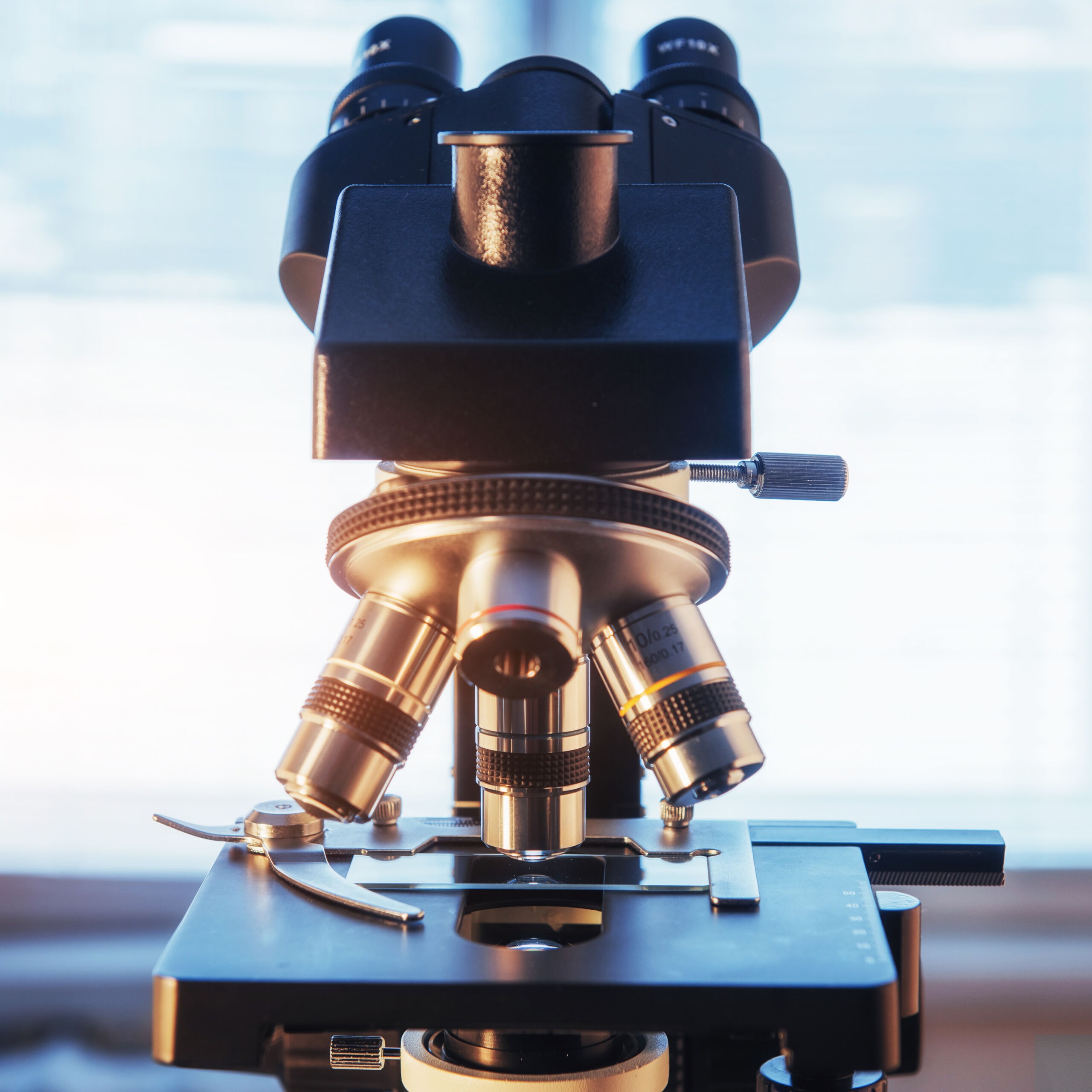 ‘Simone’ 54 Case Study